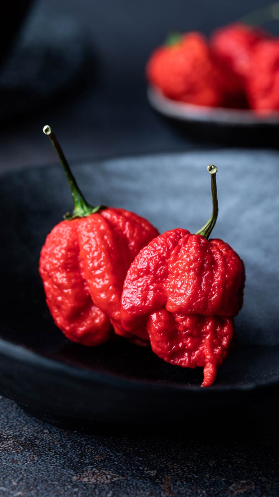 carolina reaper chili auf teller mit unscharfem hintergrund