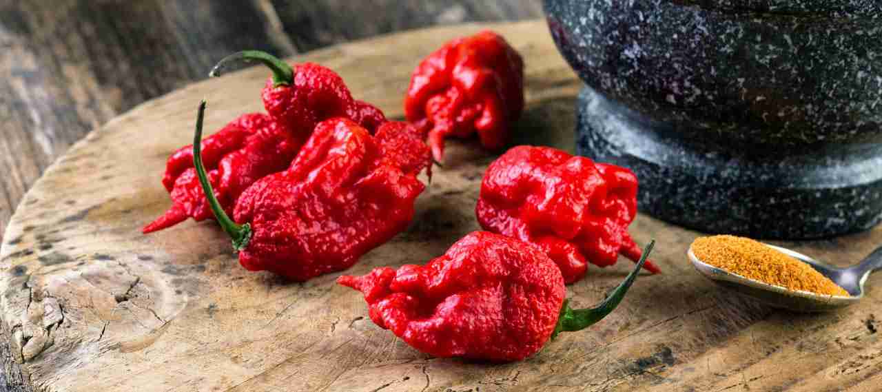 carolina reaper chili