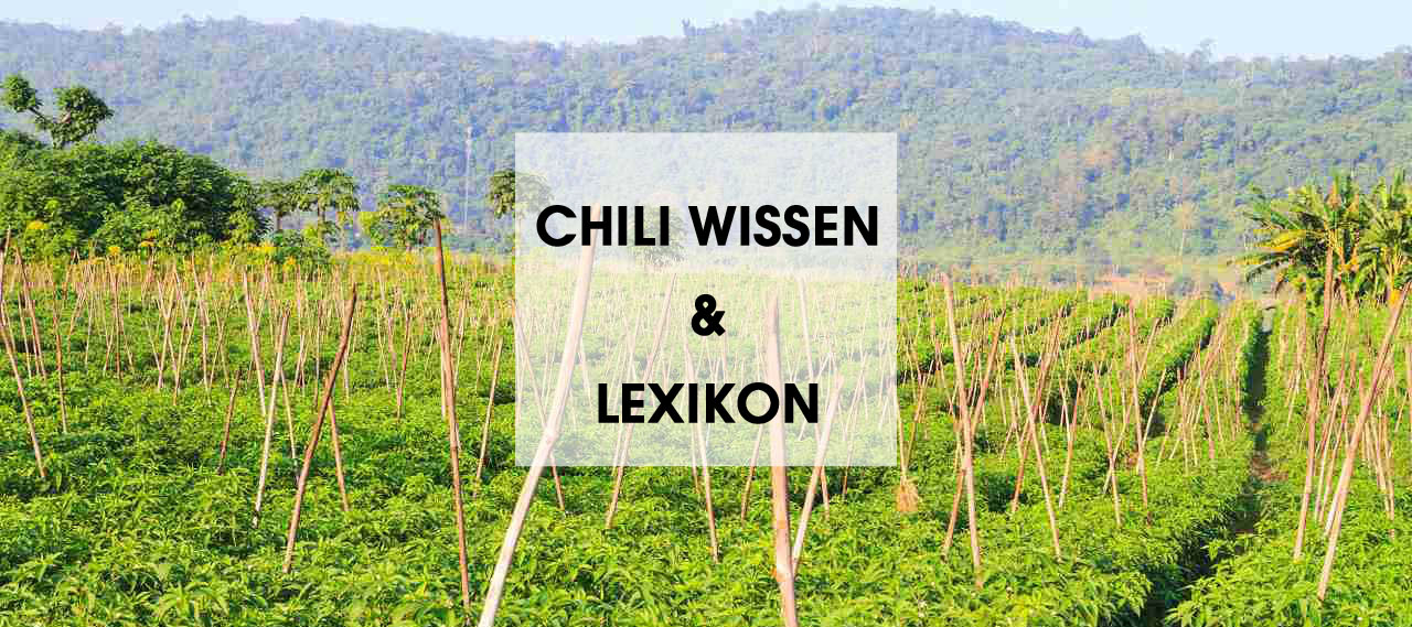 Chili-Wissen und Lexikon