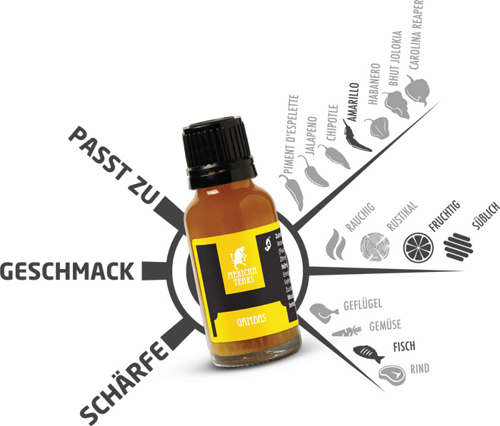 Chili-Sauce Geschmackskompass - Chilisauce